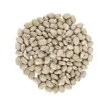 Kaunch Beej White Wild 