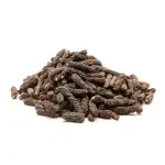 Lindi Pipal 