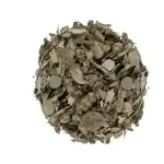 Moringa Leaves Wild Origin