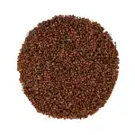 Nagkesar 