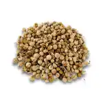 Panir Dodi Flowers 
