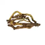Saptaparni Bark 