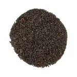 Vaividang 