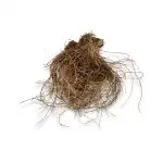 Vetiver 