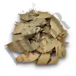 Tejpatta 