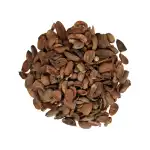 Mahuwa Seeds 