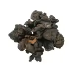 Mochrus Semal Gum