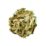 Eucalyptus Leaves 