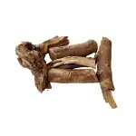 Jiwanti Roots 